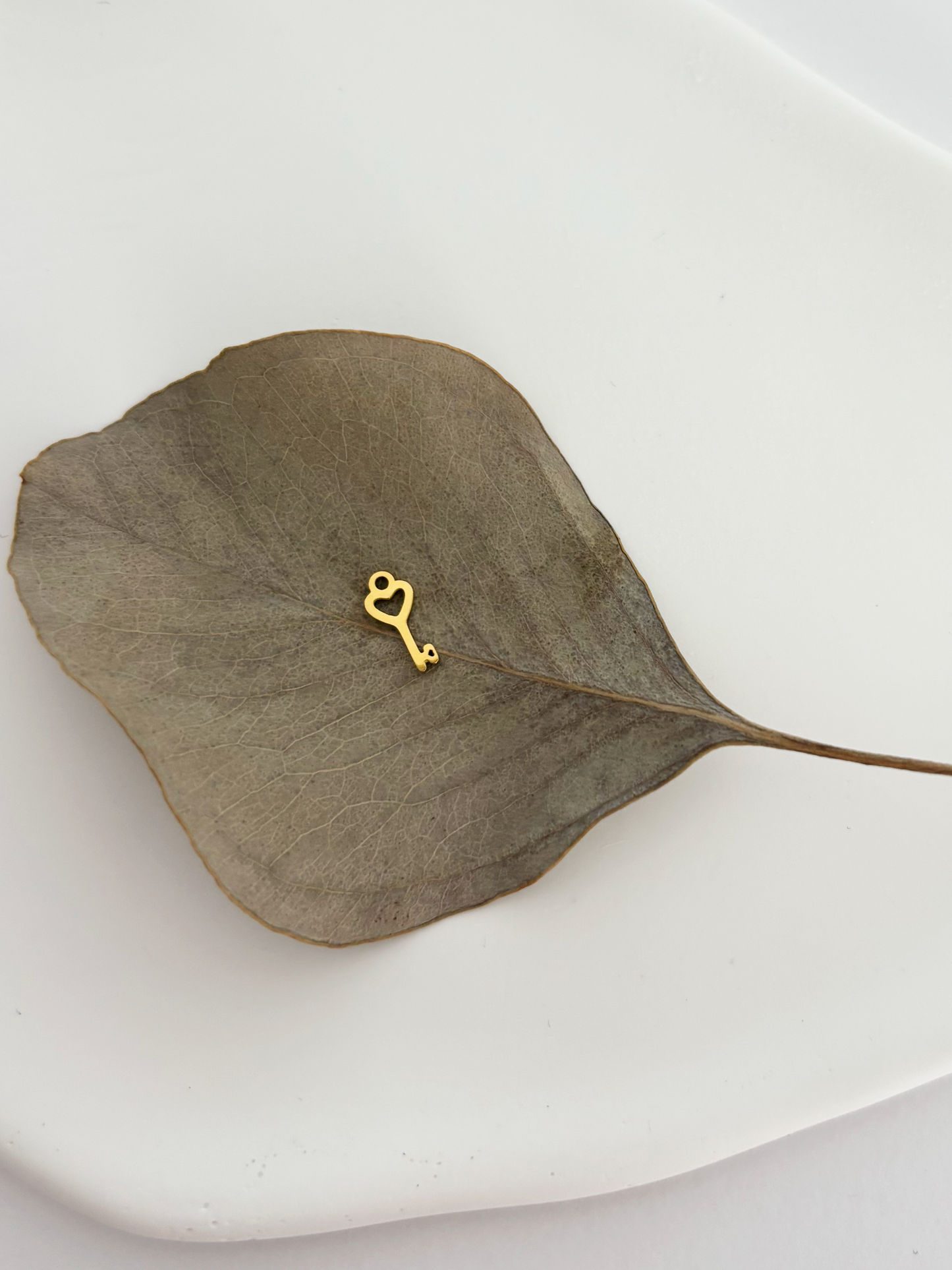 Charm Mini Chiave