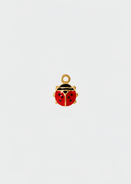 Charm Coccinella