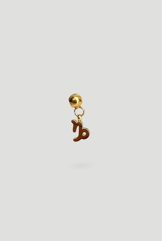 Charm Capricorno