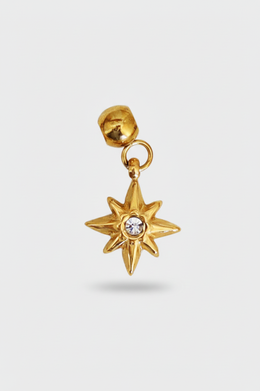 Charm stella con zircone standard