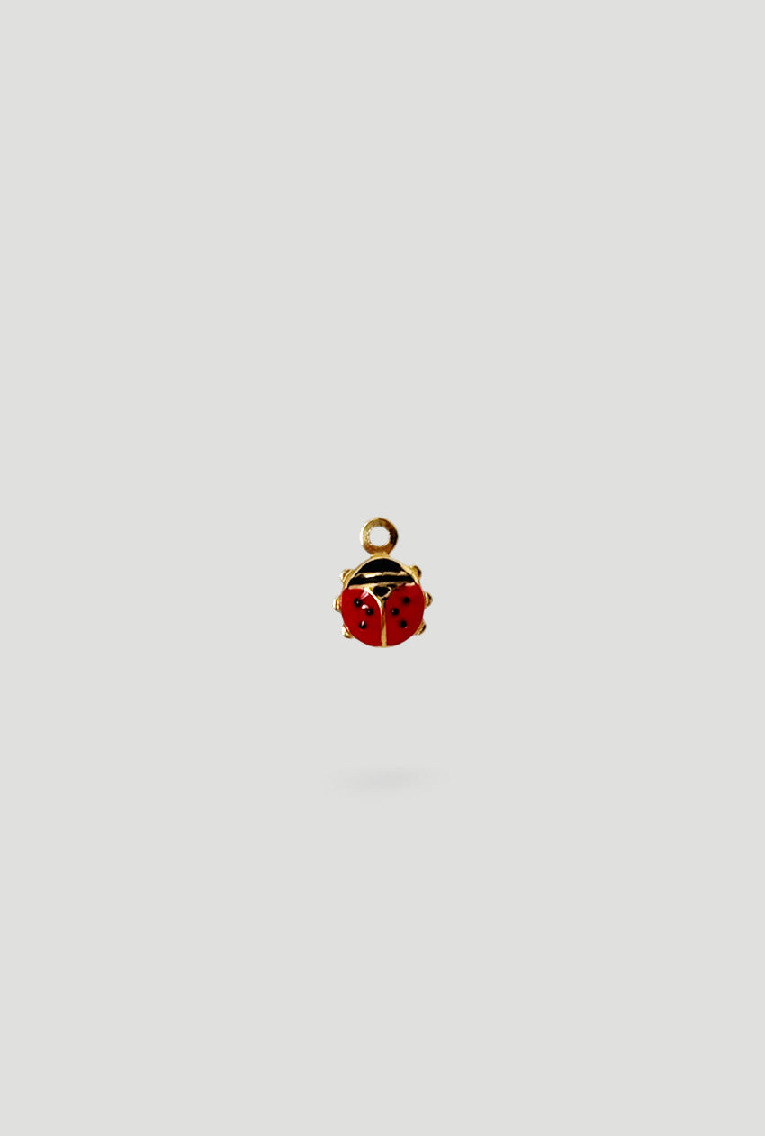 Charm Coccinella