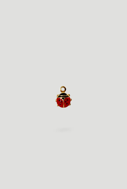 Charm Coccinella