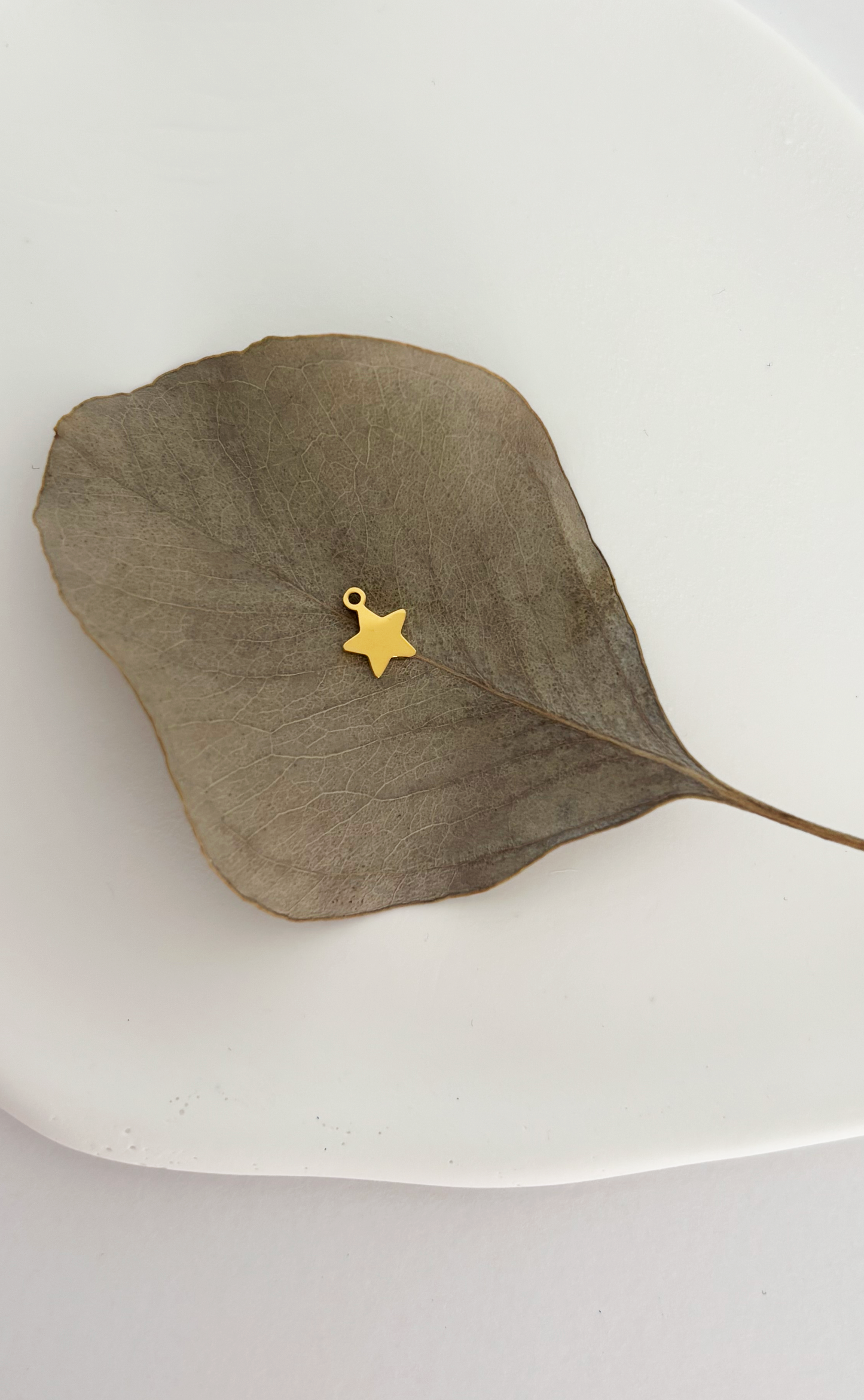 Charm Mini Stellina