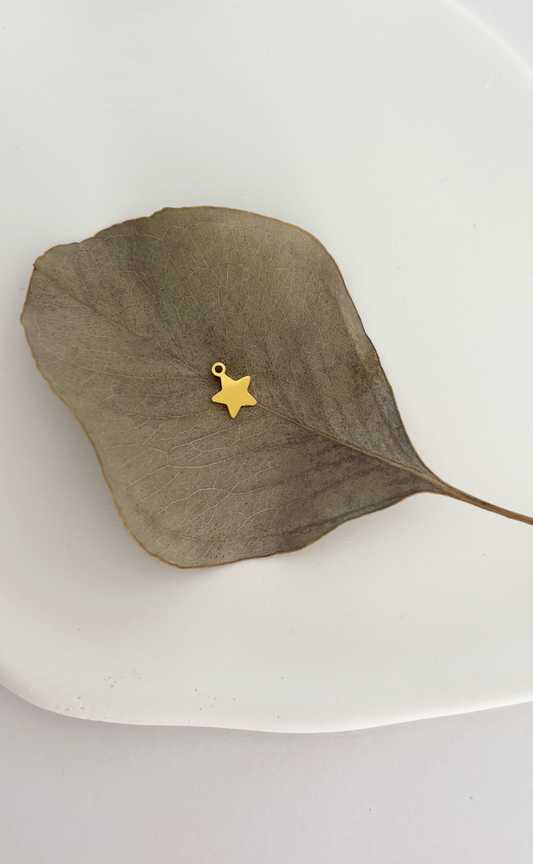 Charm Mini Stellina