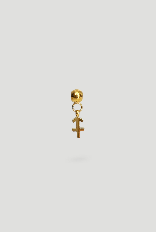 Charm Saggittario