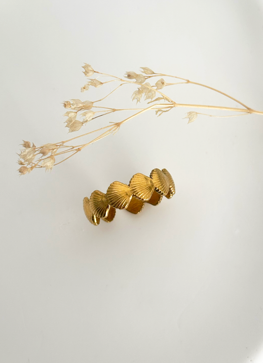 Anello Shell