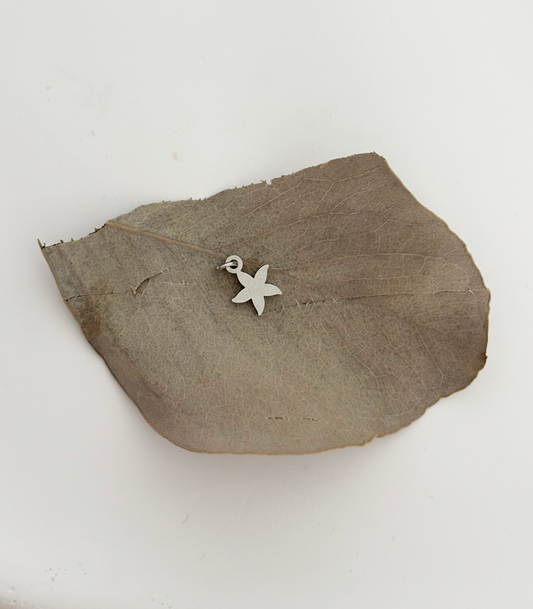 Charm Mini Stella Marina
