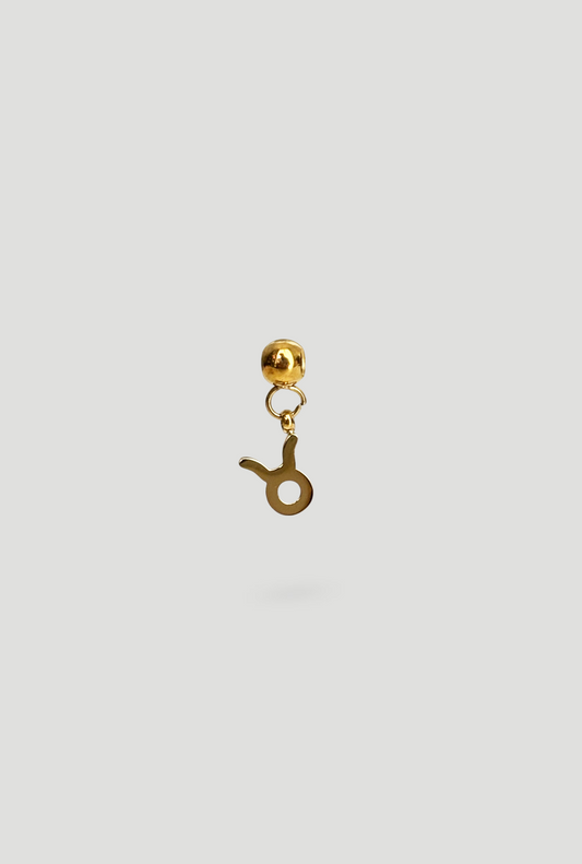 Charm Toro